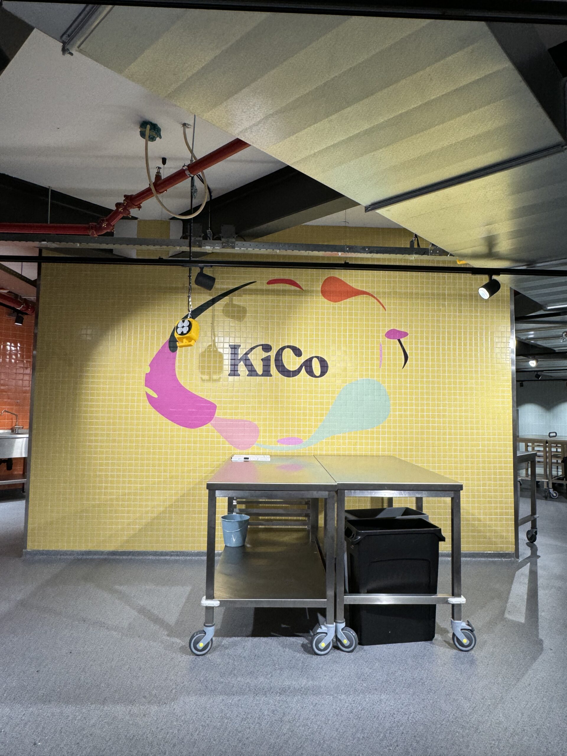 Kico - afbeelding rechts